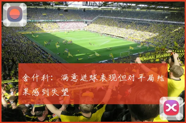 舍什科：满意进球表现但对平局结果感到失望