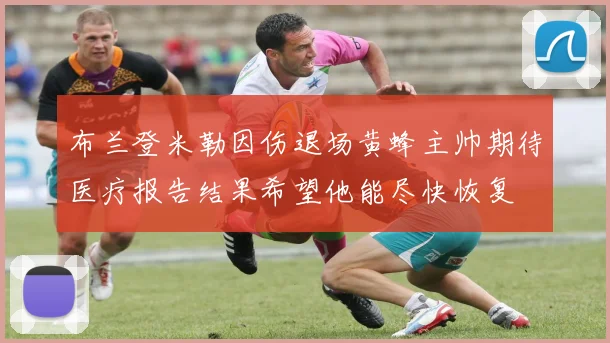 布兰登米勒因伤退场黄蜂主帅期待医疗报告结果希望他能尽快恢复